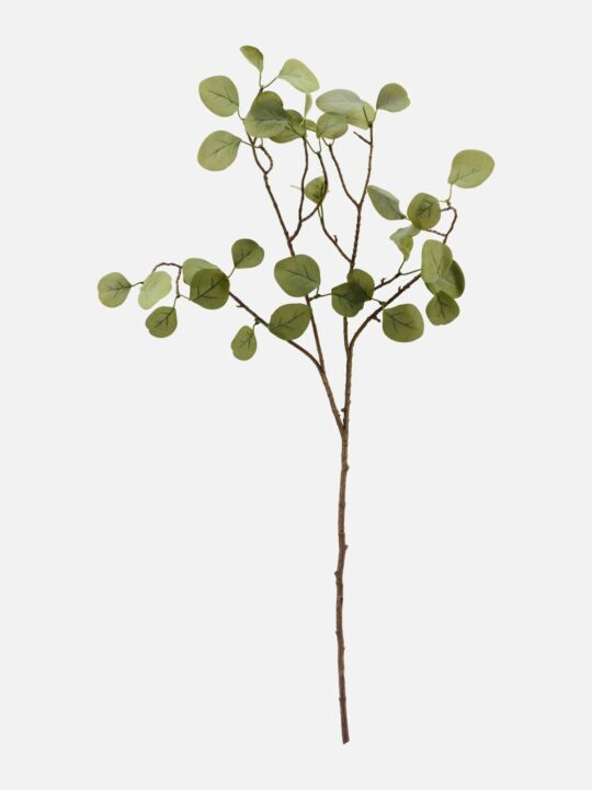 House Doctor – Eucalyptus-gren - 80 cm.